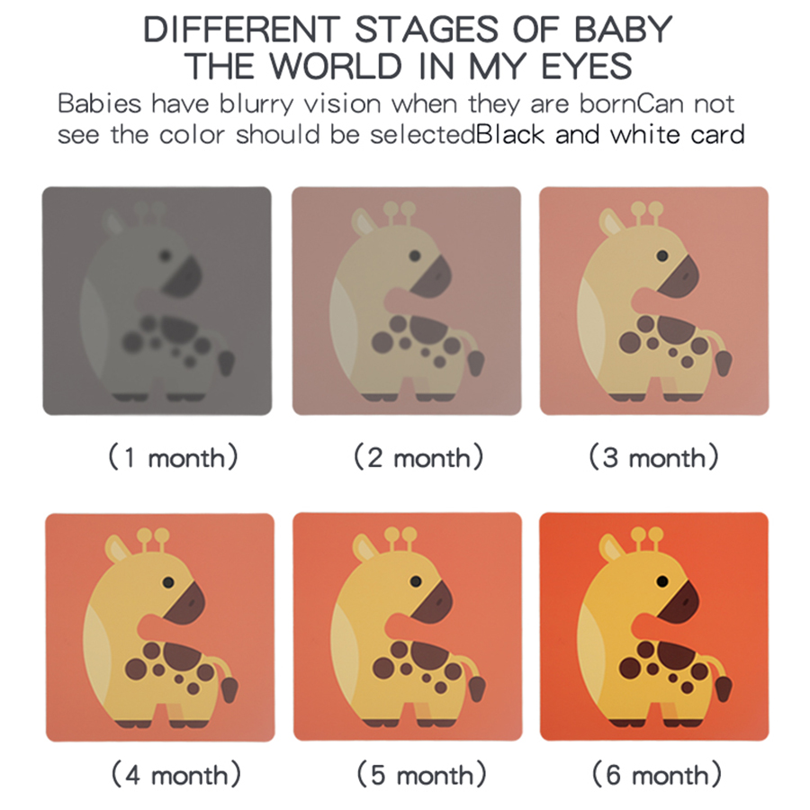 Baby Visual Stimulation Cards  - Baby Food Eat ulasan dan harga