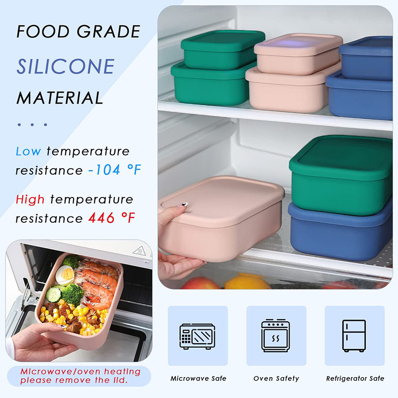 Leak-Resistant Bento Lunch Box - Food Box Baby ulasan dan harga